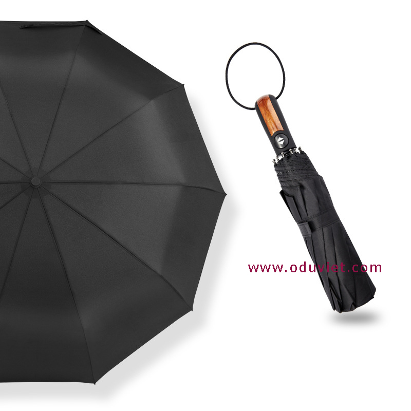 mẫu ô dù gấp 2 8 màu